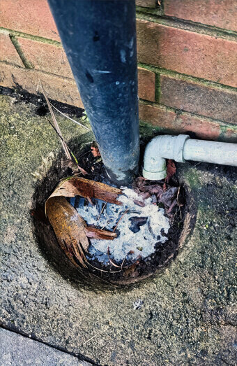 https://wembleyplumber.com.au/uploads/2025/06/blocked-drains-294506.jpg